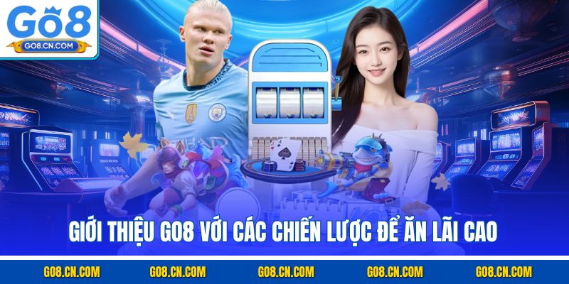 Giới thiệu GO8 với các chiến lược để ăn lãi cao